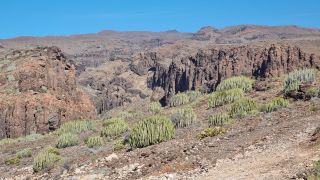 2024-02-GranCan-Playa Del Aguila-Trek-31.jpg